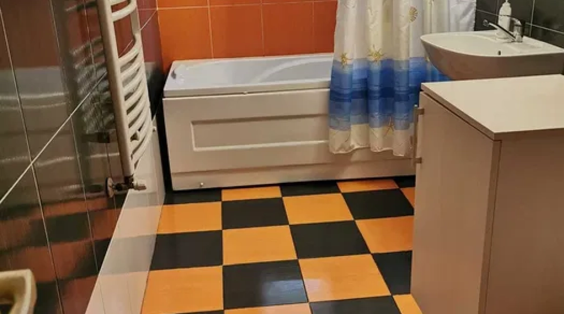 Oferta Apartament de inchiriat, 2 camere, decomandat, 70 mp, Nicolina,  Profi imagine 5