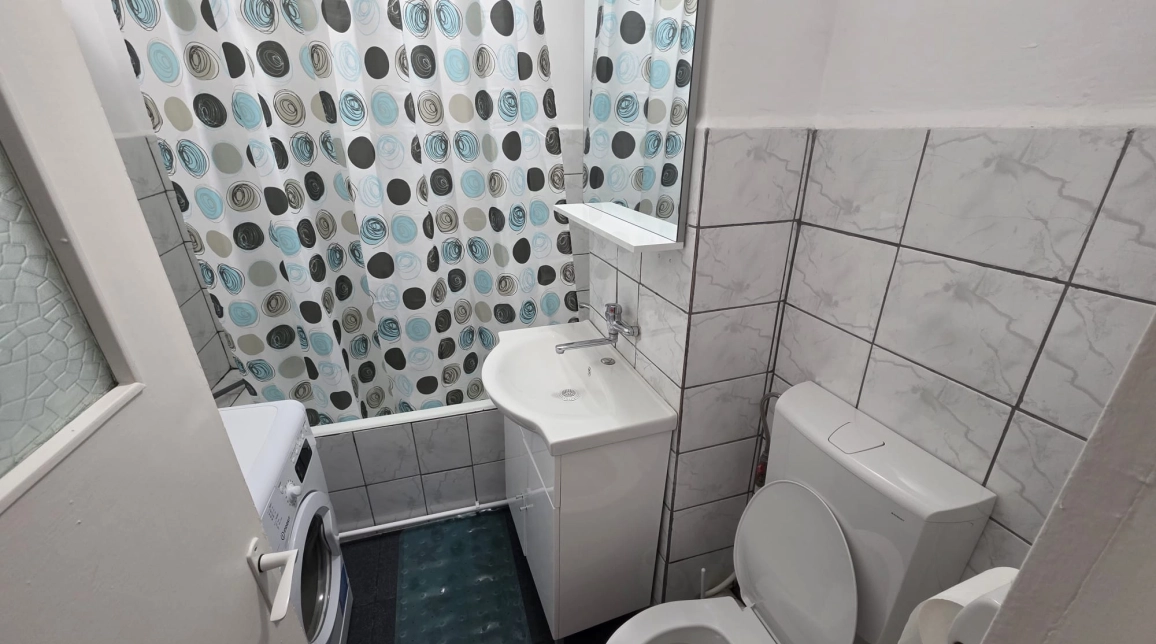 Oferta Apartament de inchiriat, 1 camera, decomandat, 47 mp, Nicolina,  Pizza Nico imagine 6