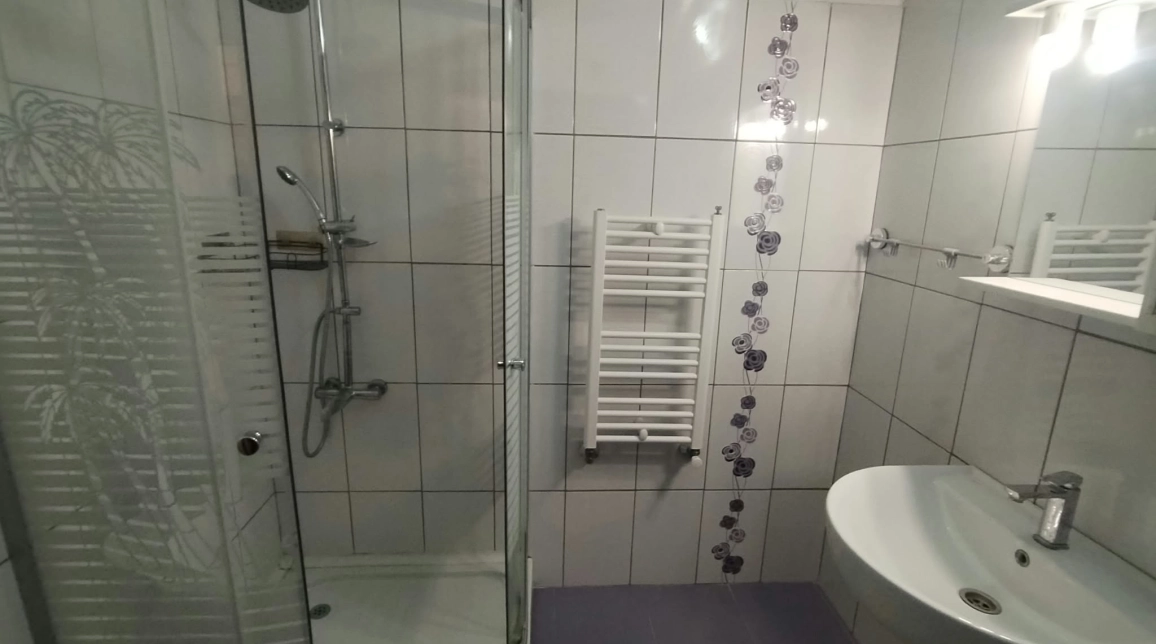 Oferta Centru apartament 55 mp, 2 camere, decomandat, de inchiriat,  Hala Centrala - BRD imagine 12