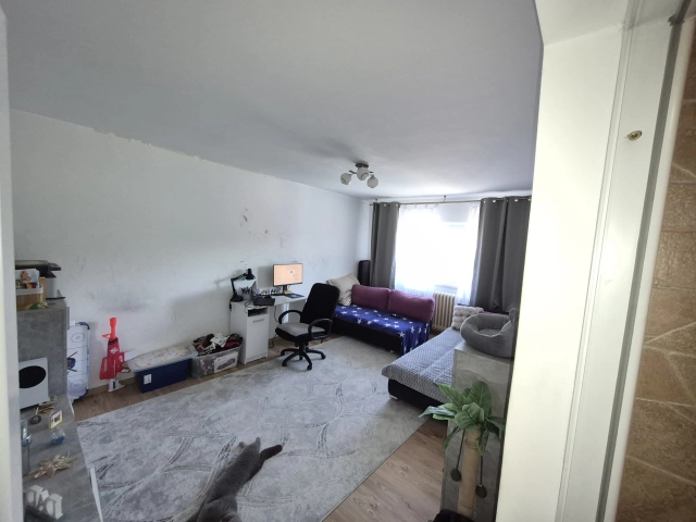 Apartament 2 camere - Tomesti