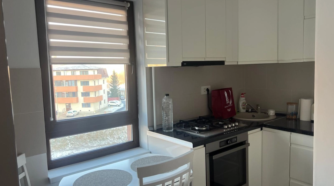 Oferta De inchiriat apartament, 2 camere, open-space, 38 mp, Nicolina,  Prima Statie imagine 4