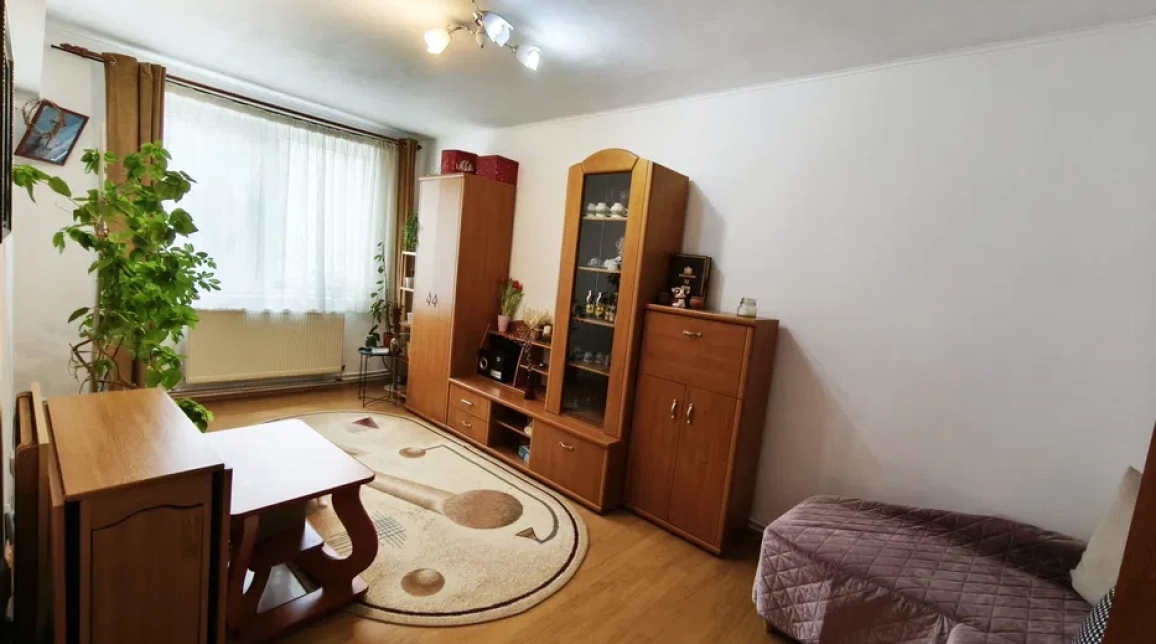 Oferta 3 camere, decomandat, 76 mp, de vanzare apartament in zona Nicolina,  Lidl Poitiers imagine 4