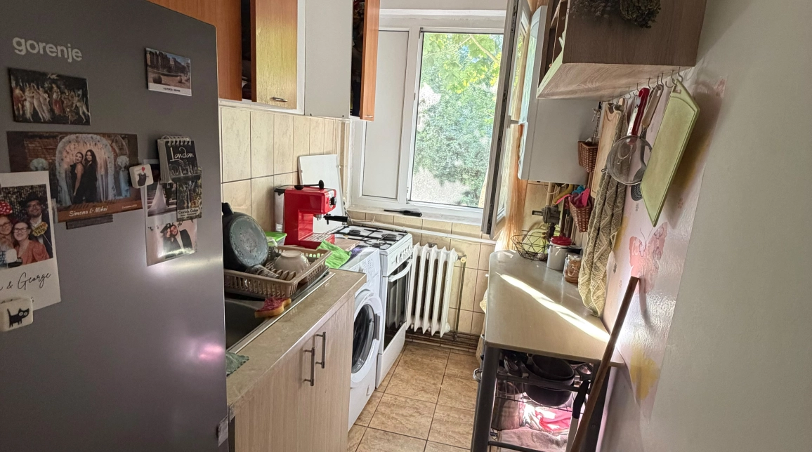 Oferta 2 camere, nedecomandat, 42 mp, de vanzare apartament in zona Alexandru cel Bun,  Piata Voievozilor imagine 3
