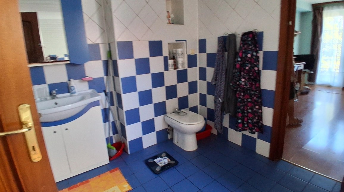 Oferta De vanzare casa, 5 camere, 390 mp, Bucium,   imagine 13