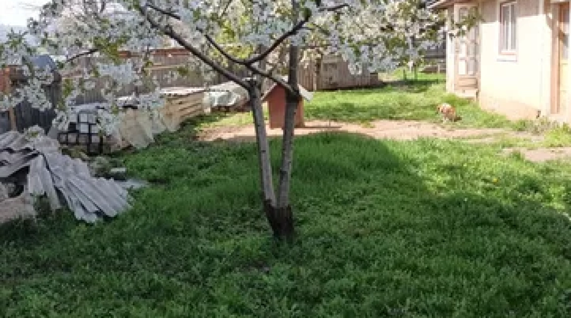 Oferta Casa, 2 camere , 70 mp, Dumbrava Rosie, de vanzare,   imagine 4