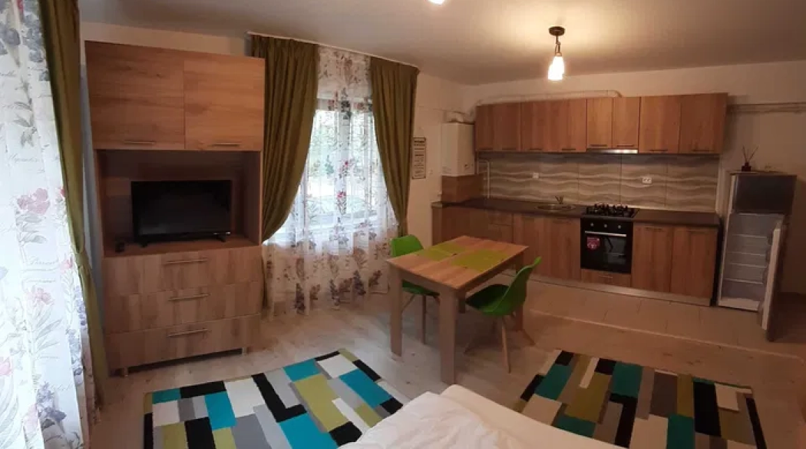 Oferta 1 camera, nedecomandat, 28 mp, de inchiriat apartament nou in zona Nicolina,  Lidl imagine 2