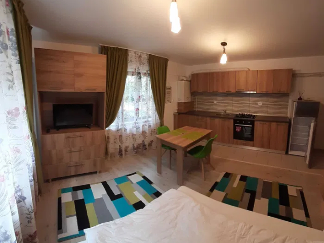 1 camera,  nedecomandat,  28 mp, de inchiriat apartament nou in zona Nicolina,  (Lidl) 161673