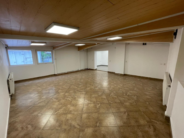Spatiu comercial Nicolina Lidl 60mp  162466