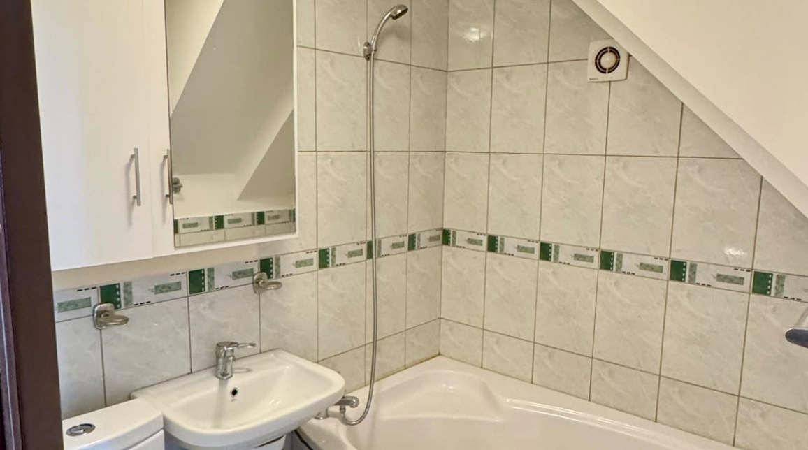 Oferta Apartament de vanzare, 2 camere, open-space, 54 mp, Nicolina,  Gara Nicolina imagine 6