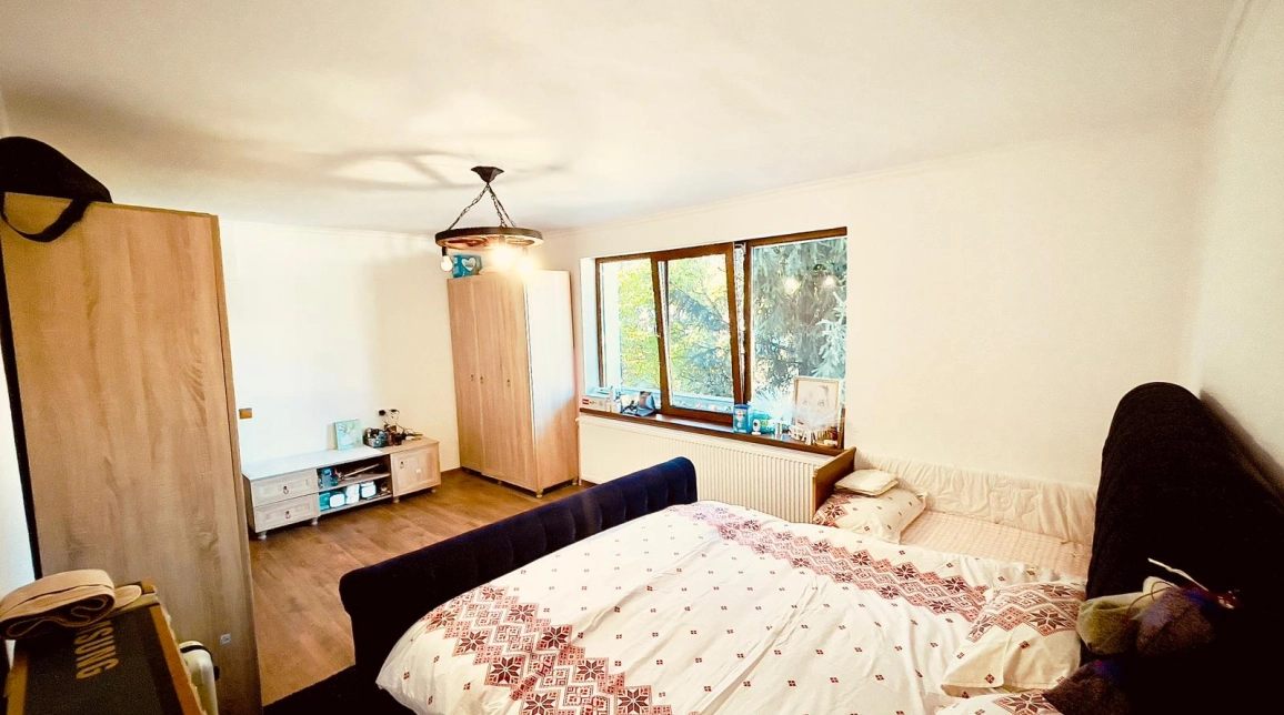 Oferta De vanzare casa, 7 camere, 230 mp, Alexandru cel bun (Jud. Neamt),  Viisoara imagine 8