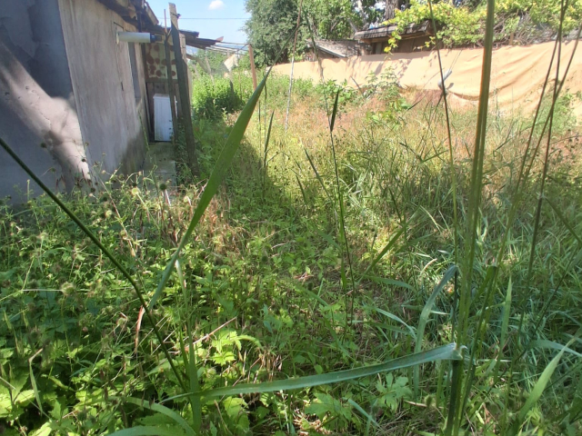 Teren  Copou dupa Petenciar 437mp  162652