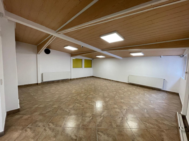 Spatiu comercial Nicolina Lidl 60mp  162466