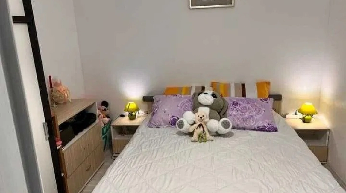 Oferta Apartament, 1 camera, 42 mp, Pacurari, de vanzare,  OMV, ROND TRAMVAI imagine 3