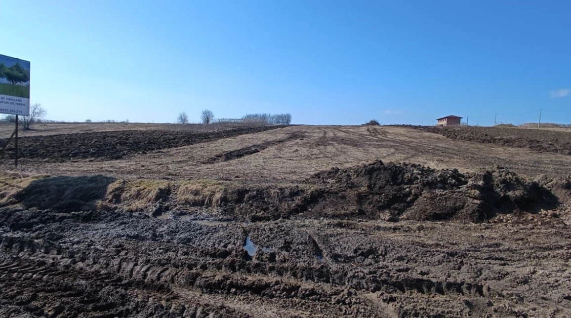 Oferta Teren de vanzare Miroslava dupa  Alin Automobile 500 mp  imagine 3