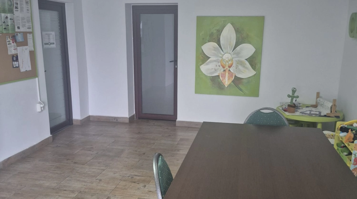 Oferta Spatiu comercial de inchiriat CUG Expomobila  300mp  imagine 8