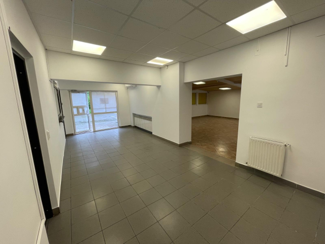 Spatiu comercial Nicolina Lidl 60mp  162466