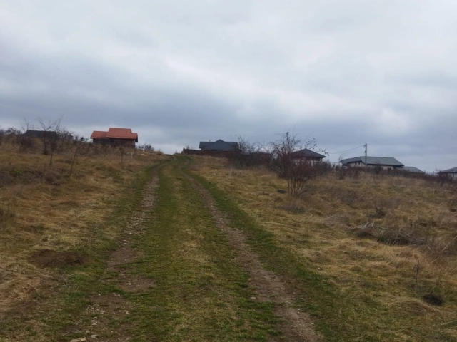Apartament 0 camere - Valea Adanca