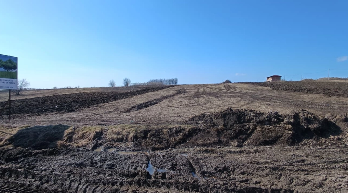 Oferta Teren de vanzare Miroslava dupa  Alin Automobile 500 mp  imagine 4