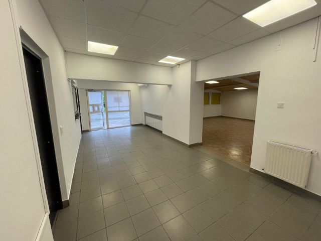 Spatiu comercial Nicolina Lidl 60mp  162466