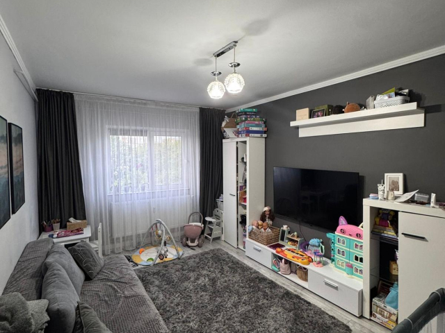 Nicolina apartament  50 mp, 2 camere,  decomandat, de vanzare,  (Prima Statie -Scoala Vasile Conta) 162544
