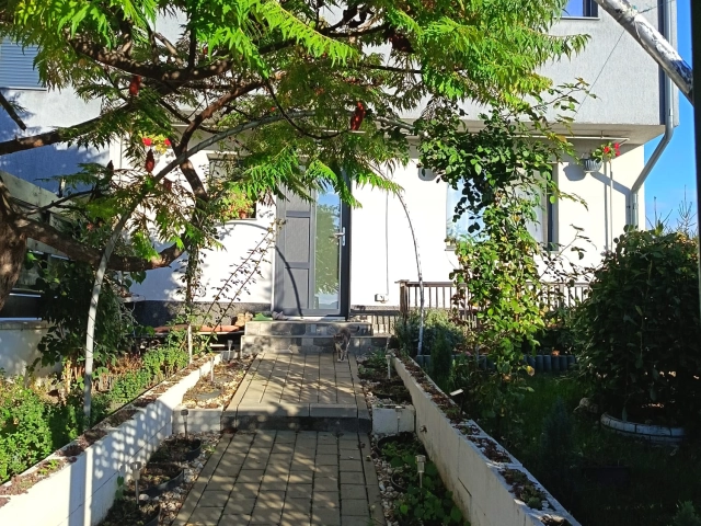 Apartament 4 camere - Nicolina