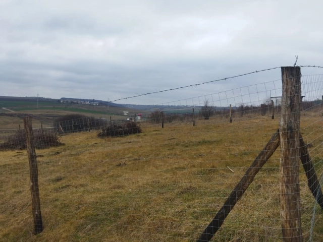 Apartament 0 camere - Valea Adanca
