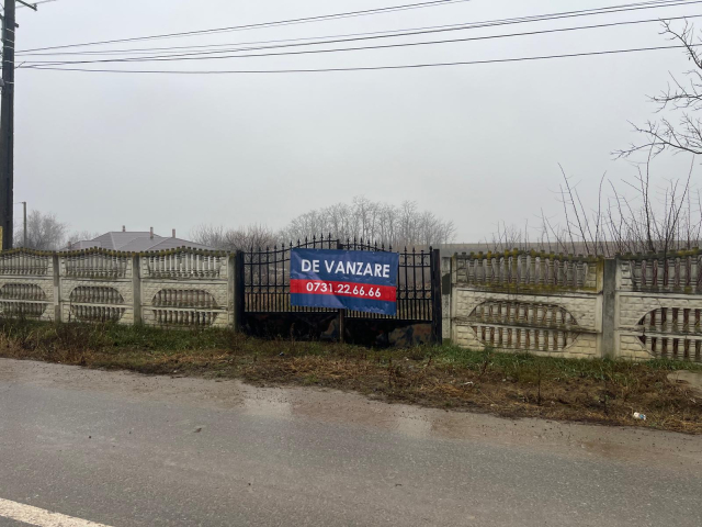 Teren  Ciurea La 300 ml de Primarie 3396mp  159481