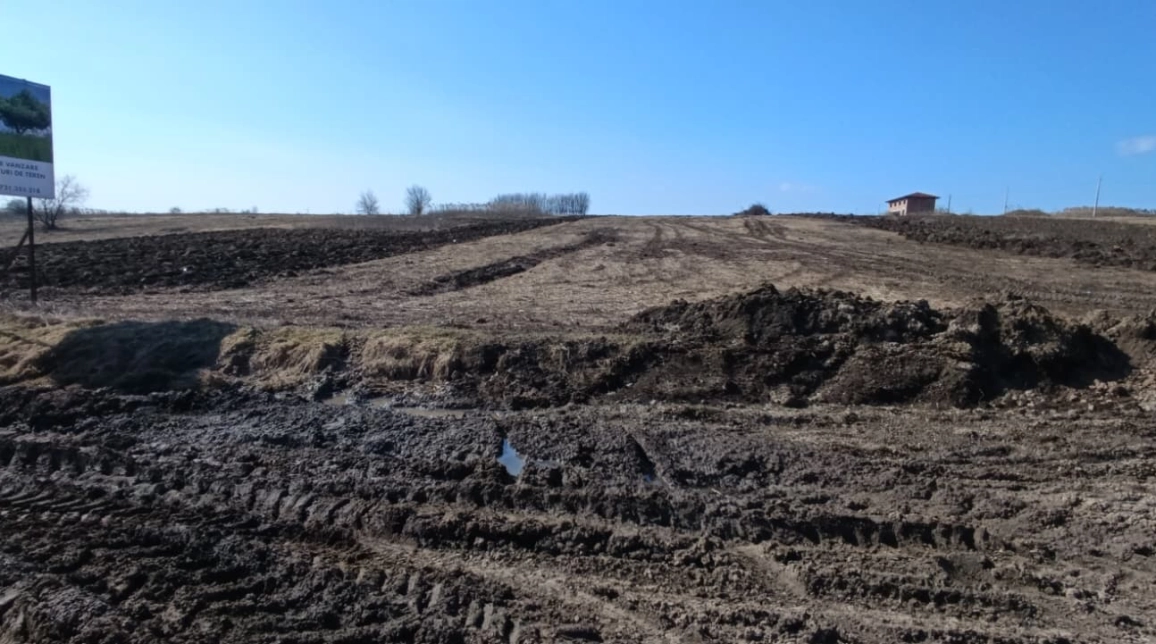 Oferta Teren de vanzare Miroslava dupa  Alin Automobile 500 mp  imagine 5