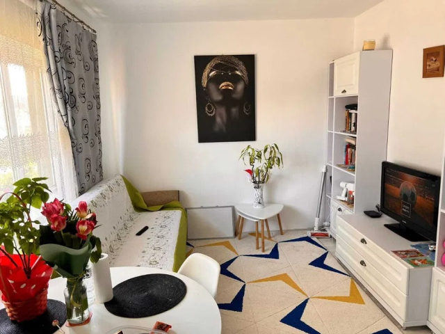 Apartament, 1 camera  ,  42 mp, Pacurari, de vanzare,  (OMV, ROND TRAMVAI) 162276
