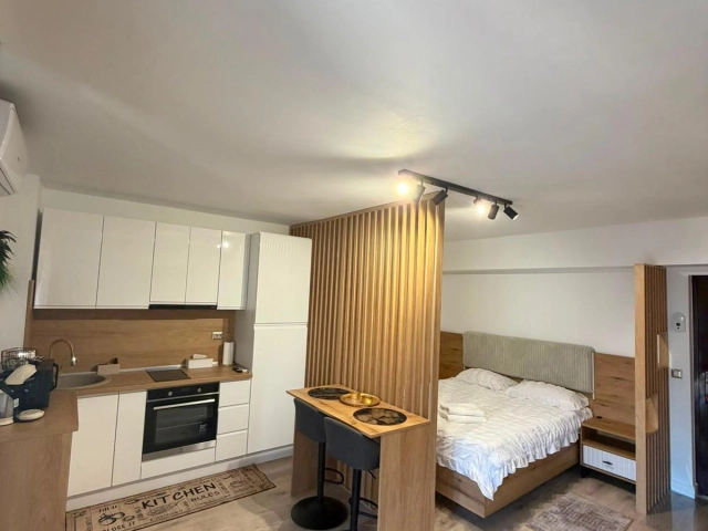Apartament 1 camere - Centru