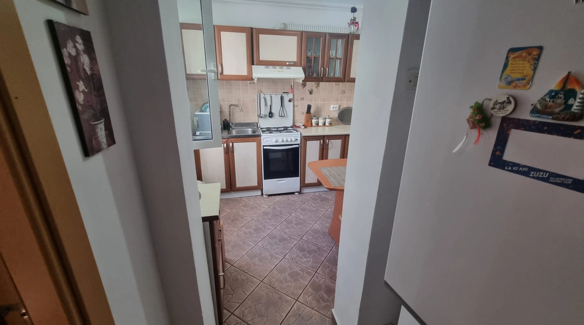 Oferta Tudor Vladimirescu apartament 55 mp, 2 camere, decomandat, de vanzare,  Iulius Mall imagine 11