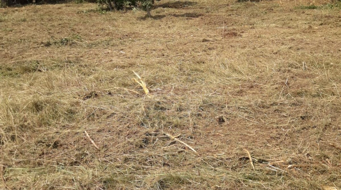 Oferta Casa de vanzare, 4 camere, 250 mp, Frumoasa,  la1km de manastirea Cetatuie imagine 3