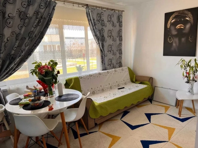 Apartament 1 camere - Pacurari