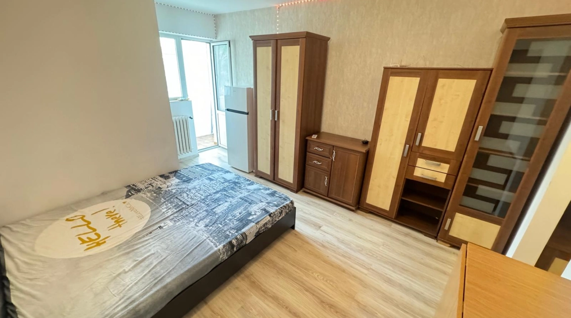 Oferta 1 camera, decomandat, 22 mp, de vanzare apartament in zona Nicolina,  Gara Nicolina imagine 3