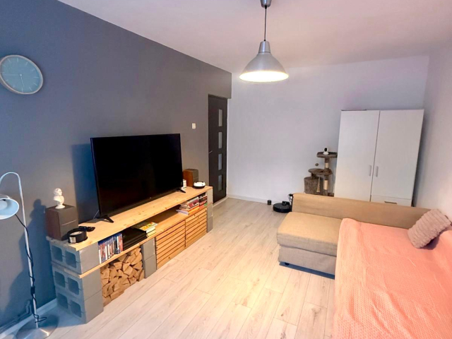 2 camere,  decomandat,  47 mp, de vanzare apartament in zona Nicolina,  (Prima statie - LIDL) 163218