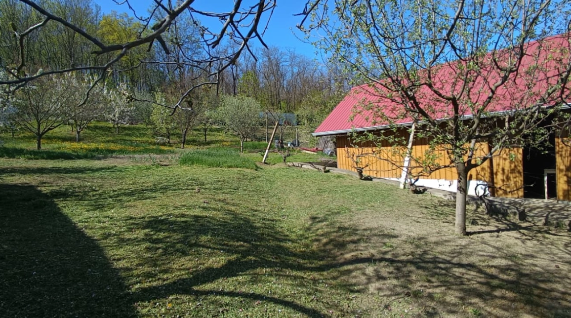 Oferta Tomesti casa 90 mp, 3 camere, de vanzare,  dupa Peny Tomesti imagine 17