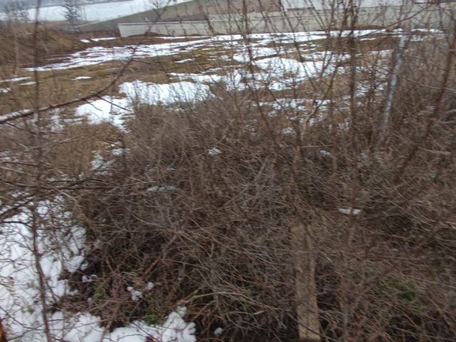 Teren  Sorogari Dupa lacul Sorogari 852mp  161623