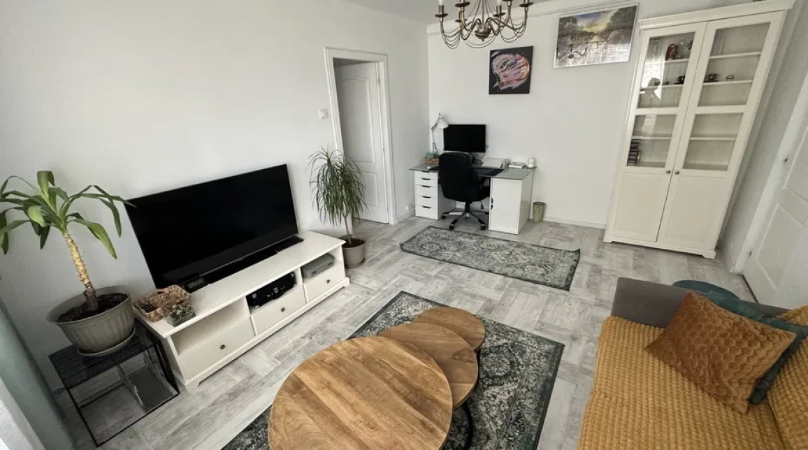 Oferta Apartament, 2 camere semidecomandat, 55 mp, Tatarasi, de vanzare,  Dispecer-Posta imagine 8