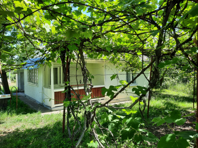 Casa de vanzare, 1 camera,  45mp, Girov,  (Gura Vaii) 147385