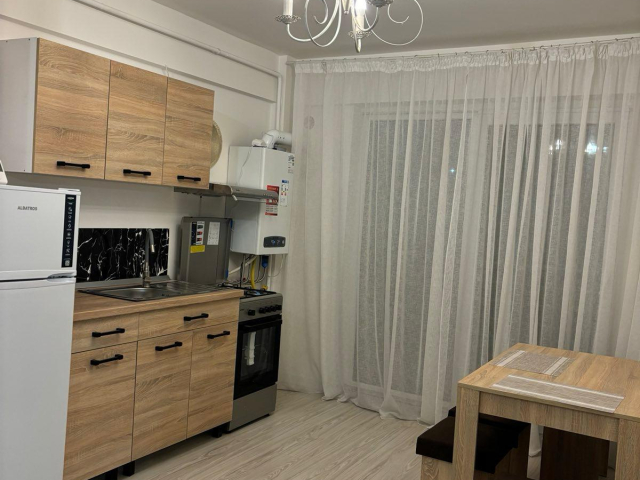 De inchiriat apartament nou, 2 camere,  open-space,  42 mp, Bucium,  (Visani - Profi) 162502