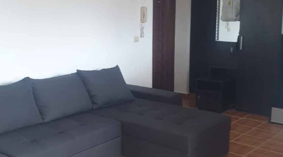 Oferta Apartament de inchiriat, 2 camere, decomandat, 60 mp, CUG,  Profi imagine 3
