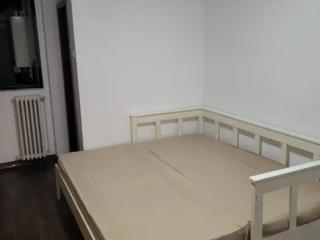 De inchiriat apartament, 1 camera,  decomandat,  24 mp, Tudor Vladimirescu,  (Iulius Mall) 163172