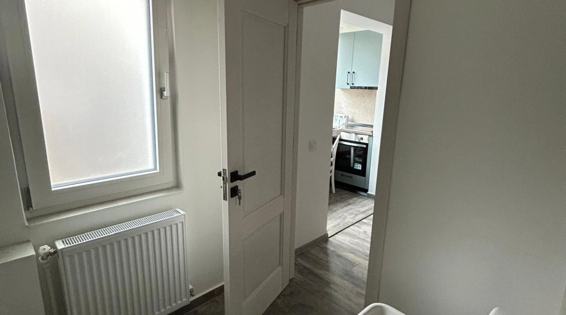 Oferta Apartament de vanzare, 2 camere, nedecomandat, 38 mp, Alexandru cel Bun,  Liceul Miron Costin imagine 3