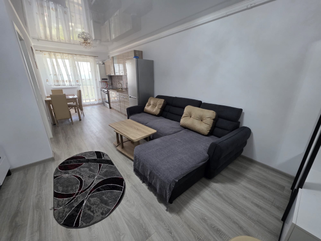 Apartament, 2 camere  open-space,  52 mp, Copou, de inchiriat,  (Aleea Sadoveanu) 162336
