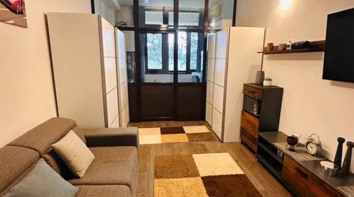 Oferta Tatarasi apartament 32 mp, 1 camera, nedecomandat, de inchiriat,  Doi Baieti imagine 2