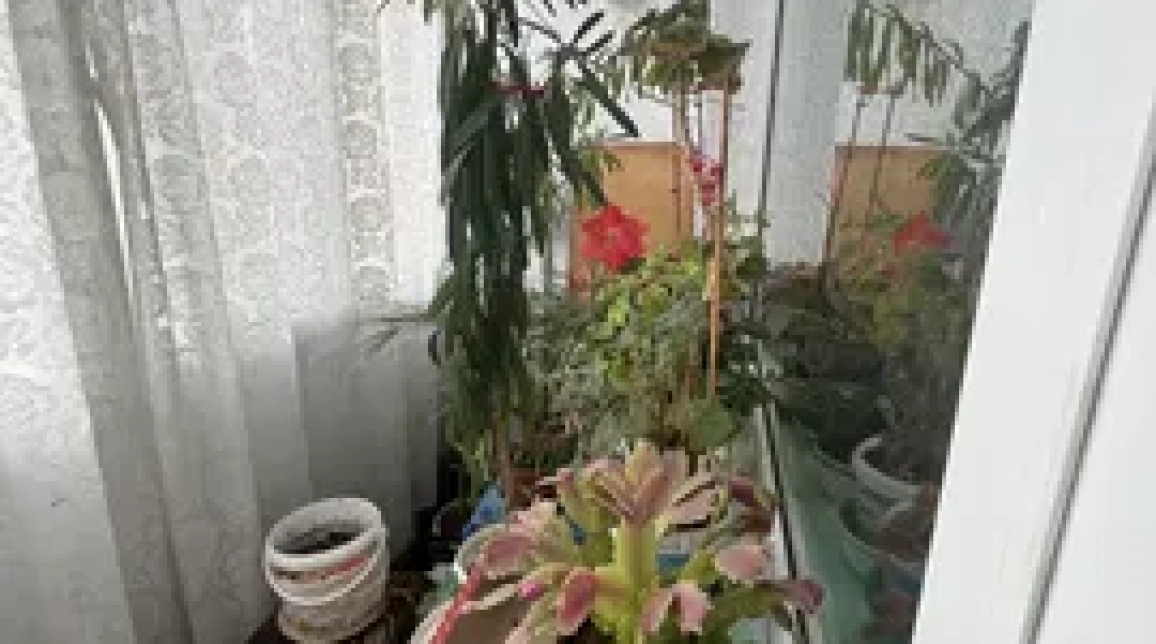 Oferta Apartament de vanzare, 2 camere, decomandat, 54 mp, Darmanesti,  Scoala Nr 5 imagine 7