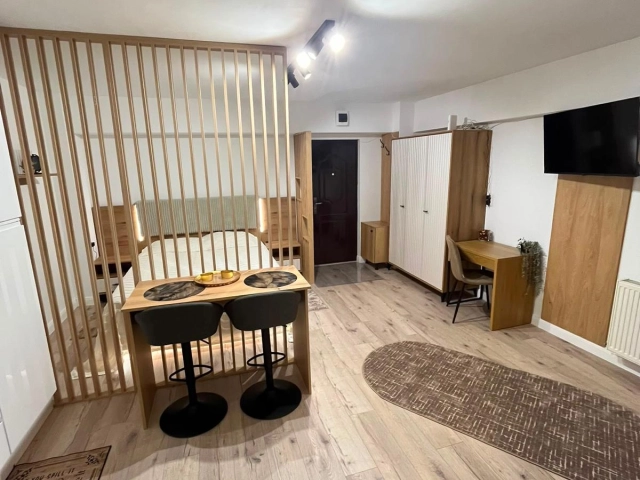 Apartament 1 camere - Centru