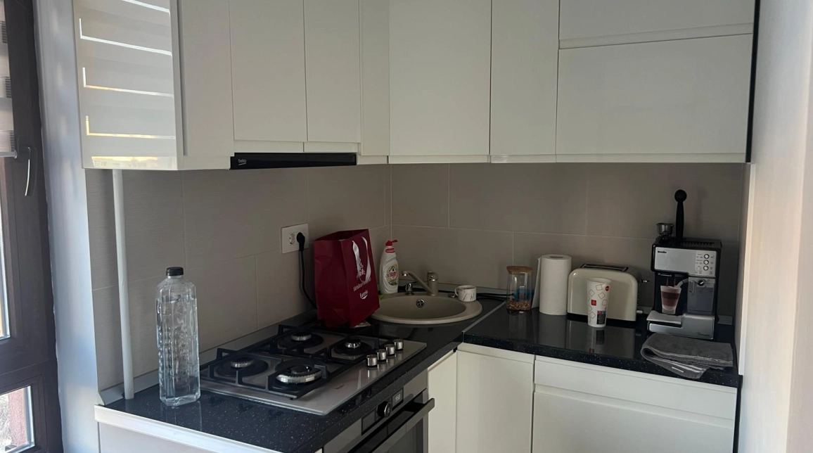 Oferta De inchiriat apartament, 2 camere, open-space, 38 mp, Nicolina,  Prima Statie imagine 5