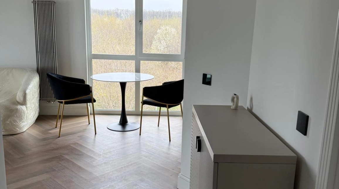 Oferta De vanzare apartament, 2 camere, open-space, 47 mp, Podul de Fier,  Little Texas Moara de Vant imagine 8