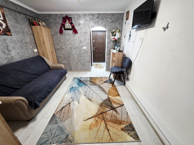 Apartament, 1 camera  garsoniera,  24 mp, Alexandru cel Bun, de vanzare,  (Zimbru) 162871